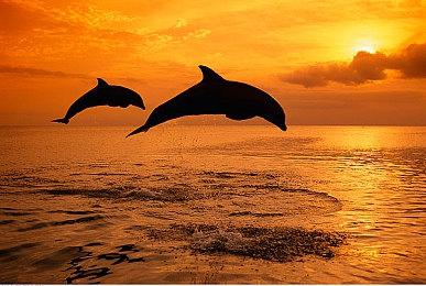 手游《妮姬：胜利女神》发布世界观PV 全球预注册开启